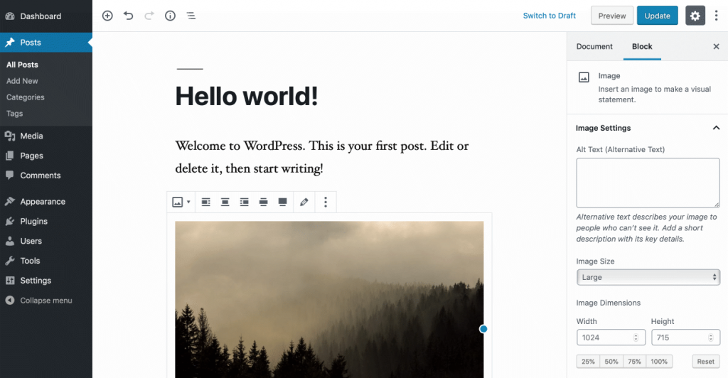 WordPress version 5.0
